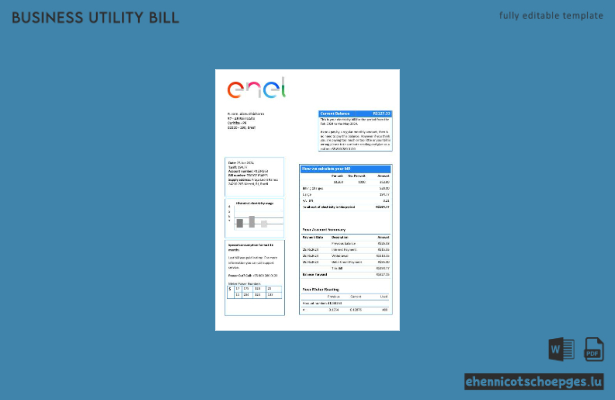 Beispielrechnung der brasilianischen ENEL-Stromgesellschaft